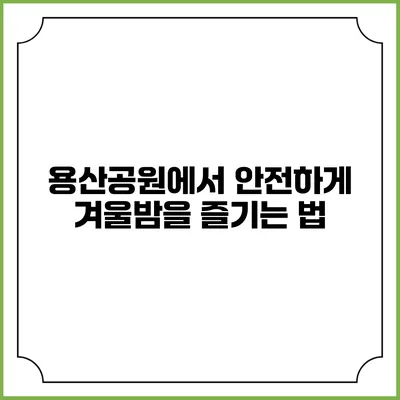 용산공원에서 안전하게 겨울밤을 즐기는 법