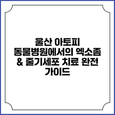 울산 아토피 동물병원에서의 엑소좀 & 줄기세포 치료 완전 가이드
