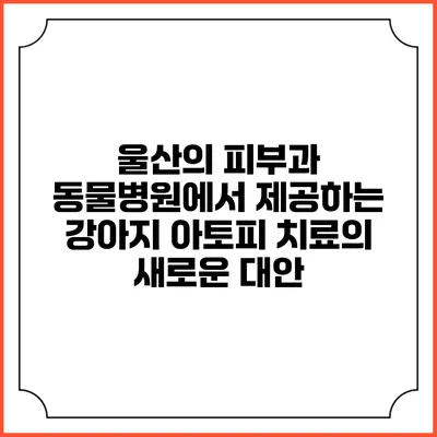 울산의 피부과 동물병원에서 제공하는 강아지 아토피 치료의 새로운 대안