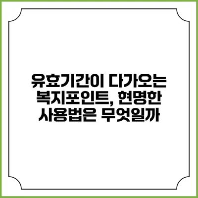유효기간이 다가오는 복지포인트, 현명한 사용법은 무엇일까?