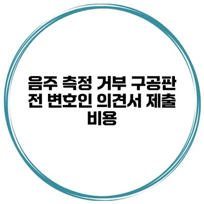 음주 측정 거부 구공판 전 변호인 의견서 제출 비용