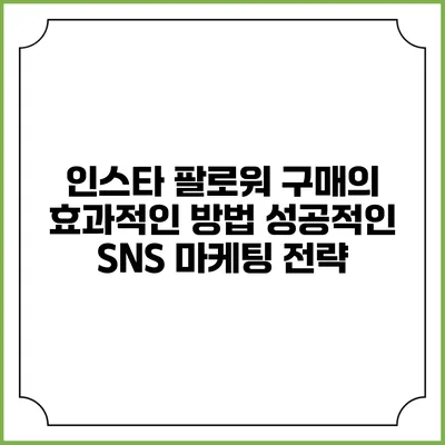 인스타 팔로워 구매의 효과적인 방법: 성공적인 SNS 마케팅 전략