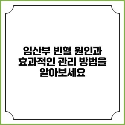 임산부 빈혈: 원인과 효과적인 관리 방법을 알아보세요