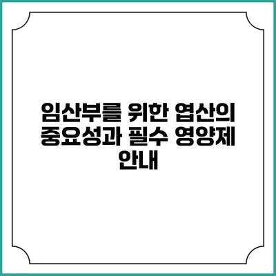 임산부를 위한 엽산의 중요성과 필수 영양제 안내
