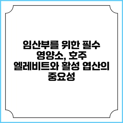 임산부를 위한 필수 영양소, 호주 엘레비트와 활성 엽산의 중요성