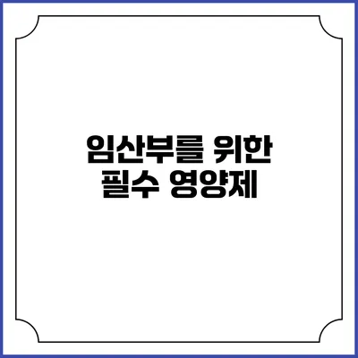 임산부를 위한 필수 영양제