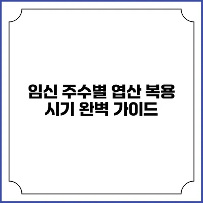 임신 주수별 엽산 복용 시기 완벽 가이드