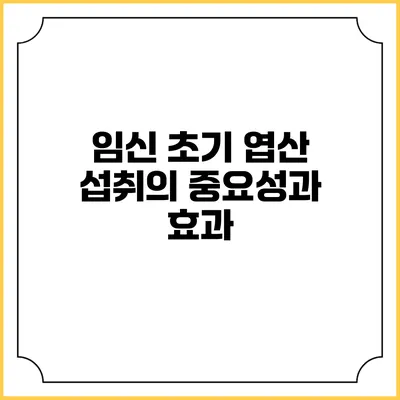 임신 초기 엽산 섭취의 중요성과 효과