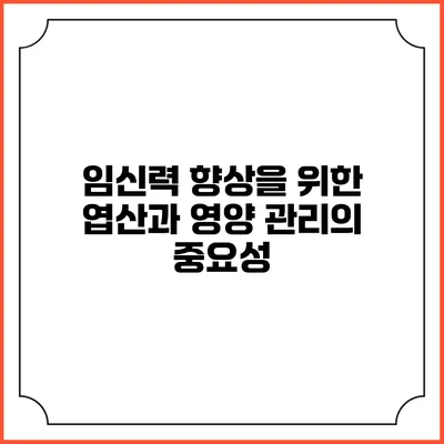 임신력 향상을 위한 엽산과 영양 관리의 중요성