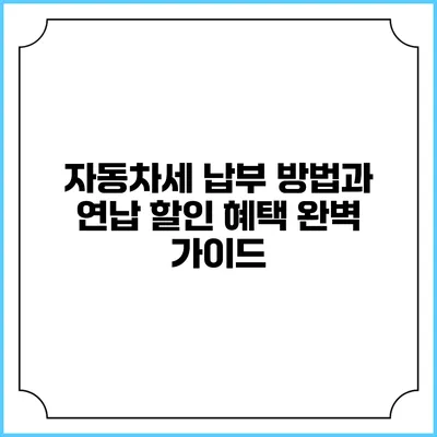자동차세 납부 방법과 연납 할인 혜택 완벽 가이드