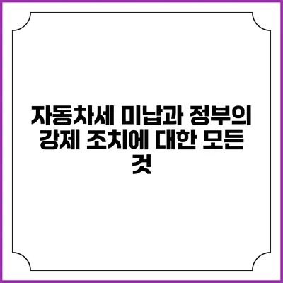 자동차세 미납과 정부의 강제 조치에 대한 모든 것