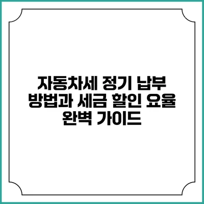 자동차세 정기 납부 방법과 세금 할인 요율 완벽 가이드