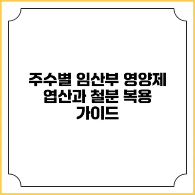 주수별 임산부 영양제 엽산과 철분 복용 가이드