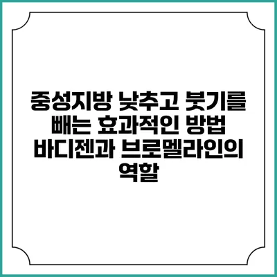 중성지방 낮추고 붓기를 빼는 효과적인 방법: 바디젠과 브로멜라인의 역할