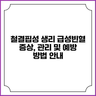 철결핍성 생리 급성빈혈: 증상, 관리 및 예방 방법 안내