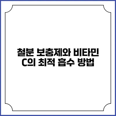 철분 보충제와 비타민 C의 최적 흡수 방법