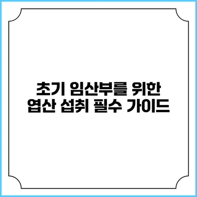 초기 임산부를 위한 엽산 섭취 필수 가이드