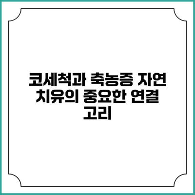 코세척과 축농증: 자연 치유의 중요한 연결 고리