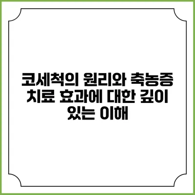 코세척의 원리와 축농증 치료 효과에 대한 깊이 있는 이해