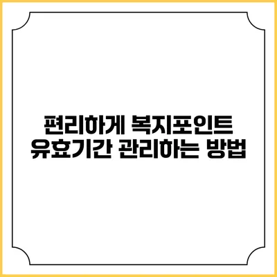 편리하게 복지포인트 유효기간 관리하는 방법