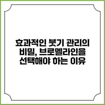 효과적인 붓기 관리의 비밀, 브로멜라인을 선택해야 하는 이유