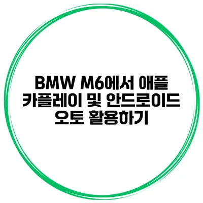 BMW M6에서 애플 카플레이 및 안드로이드 오토 활용하기