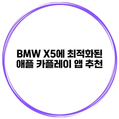 BMW X5에 최적화된 애플 카플레이 앱 추천