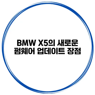 BMW X5의 새로운 펌웨어 업데이트 장점