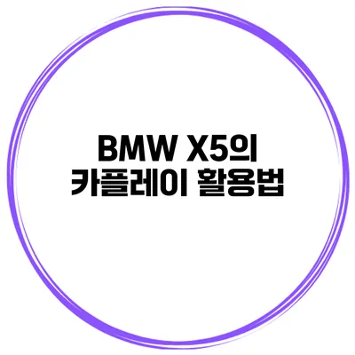 BMW X5의 카플레이 활용법