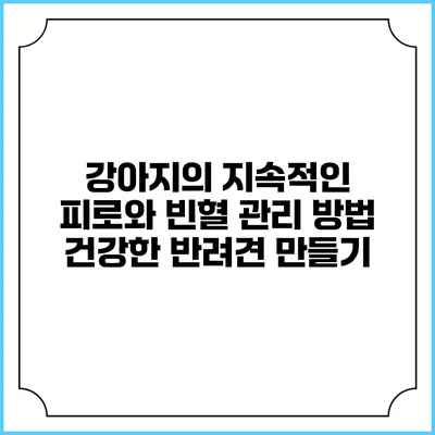 강아지의 지속적인 피로와 빈혈 관리 방법: 건강한 반려견 만들기