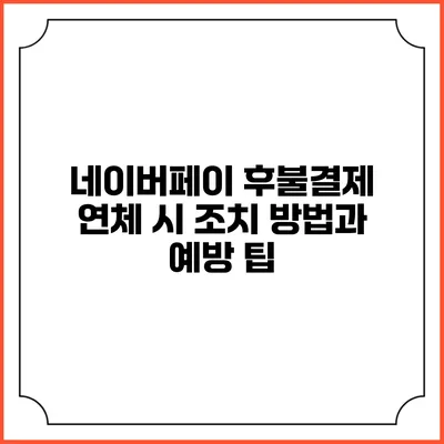 네이버페이 후불결제 연체 시 조치 방법과 예방 팁