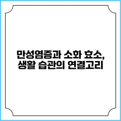 만성염증과 소화 효소, 생활 습관의 연결고리