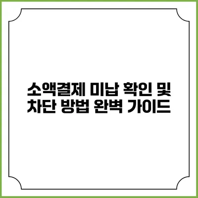 소액결제 미납 확인 및 차단 방법 완벽 가이드