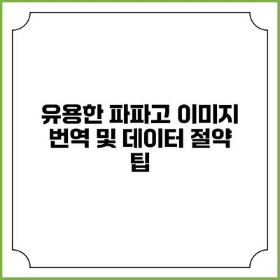 유용한 파파고 이미지 번역 및 데이터 절약 팁