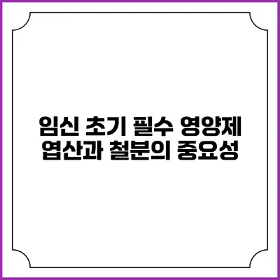 임신 초기 필수 영양제: 엽산과 철분의 중요성