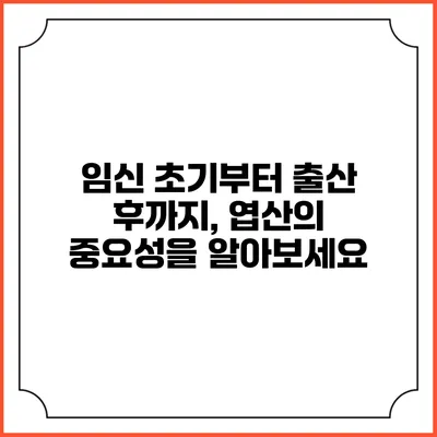 임신 초기부터 출산 후까지, 엽산의 중요성을 알아보세요