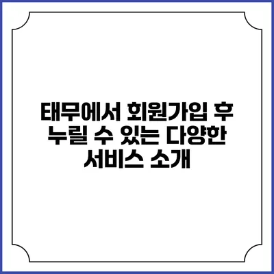 태무에서 회원가입 후 누릴 수 있는 다양한 서비스 소개