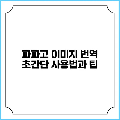 파파고 이미지 번역 초간단 사용법과 팁