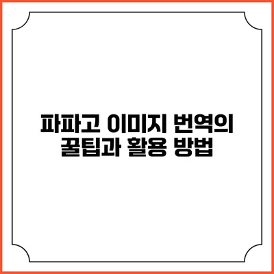 파파고 이미지 번역의 꿀팁과 활용 방법