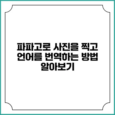 파파고로 사진을 찍고 언어를 번역하는 방법 알아보기