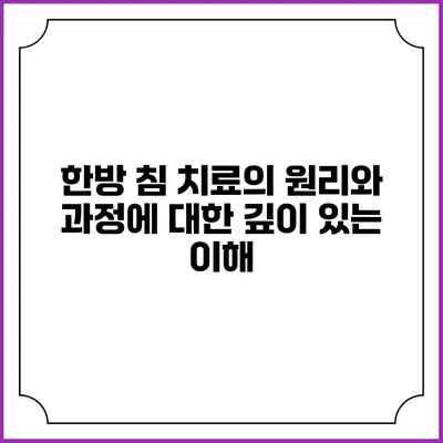 한방 침 치료의 원리와 과정에 대한 깊이 있는 이해